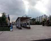 青冈天气预报40天