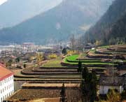 佛坪天气预报7天