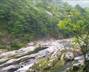 金家庄今天天气