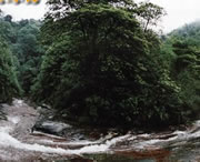 习水天气预报60天