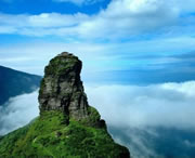 印江天气预报15天