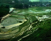 贞丰天气预报7天