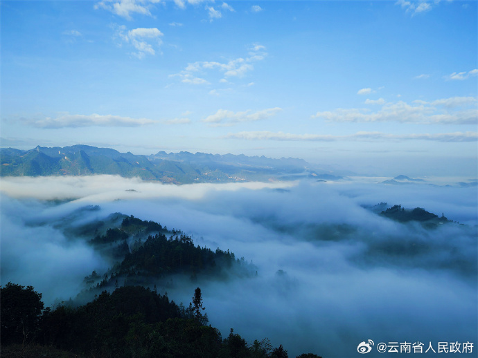 旅游建议：如何根据气候规划行程？